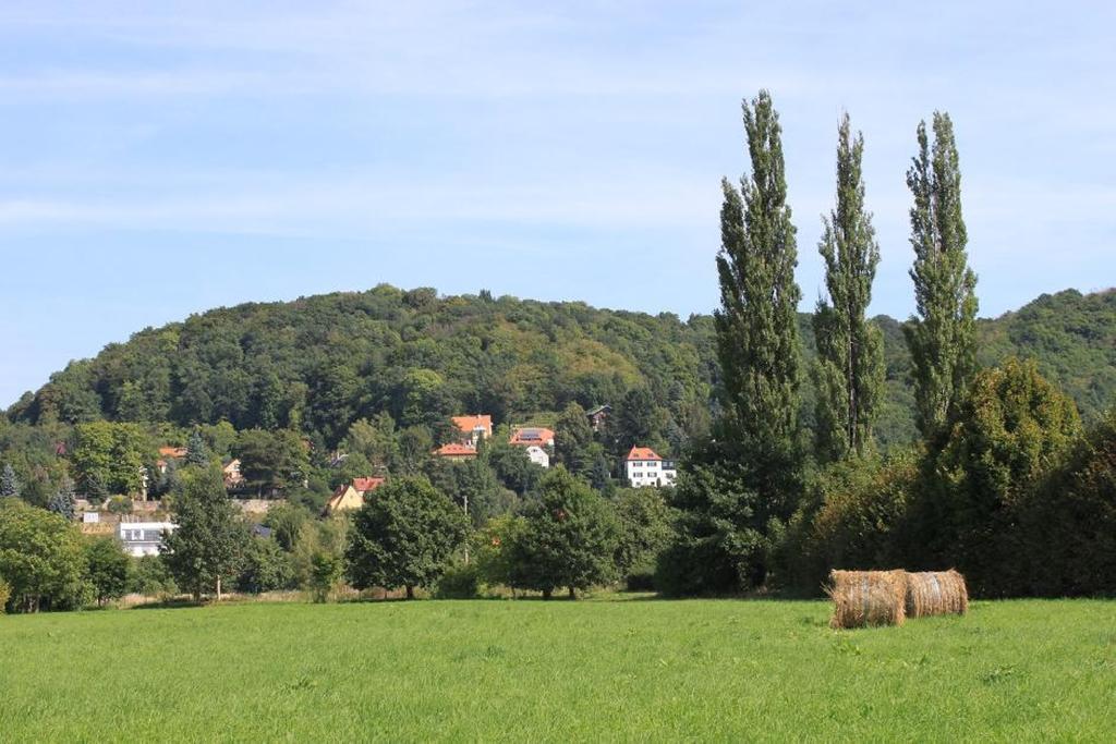Traumhaftes Elb-Chalet Δρέσδη Εξωτερικό φωτογραφία